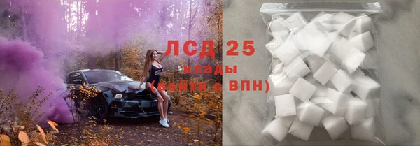 гашиш Богданович