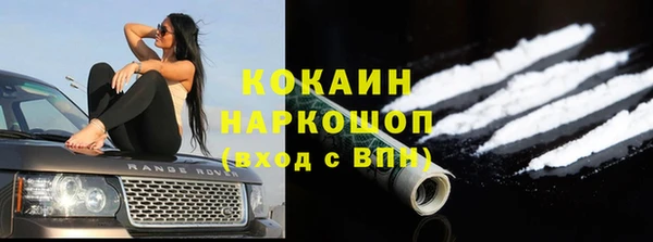 гашиш Богданович