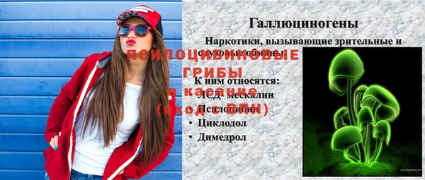 mix Богородицк