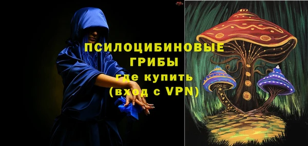дмт Богородск