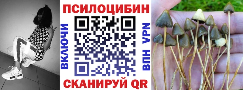 кракен вход  Кировск  Псилоцибиновые грибы ЛСД 