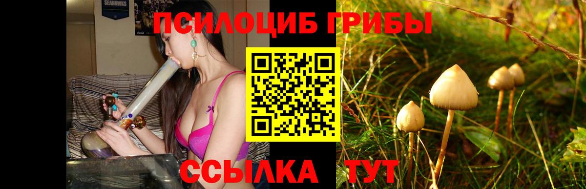 Галлюциногенные грибы мицелий  Галлюциногенные грибы Cubensis  Вход с VPN  Кировск 