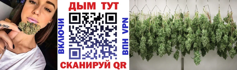 площадка официальный сайт  Кировск  Марихуана ГИДРОПОН  где найти наркотики 